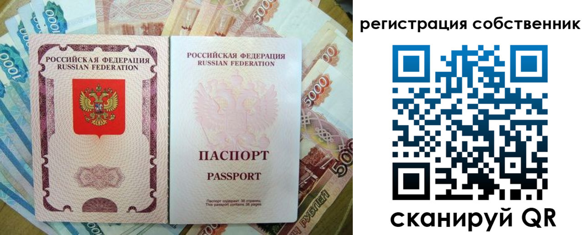 прописка гарантия в Снежногорске